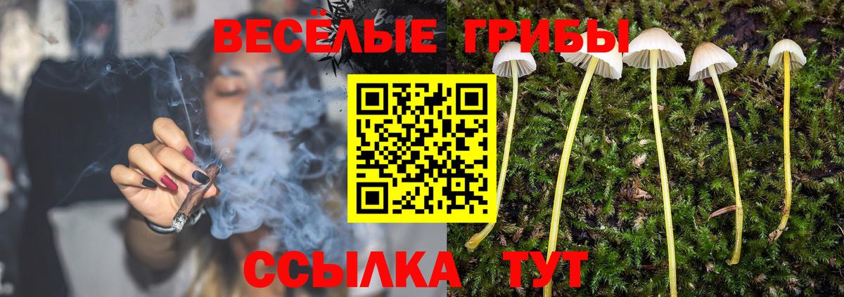 Киселёвск  Псилоцибиновые грибы мухоморы  Вход с VPN  Галлюциногенные грибы Magic Shrooms 