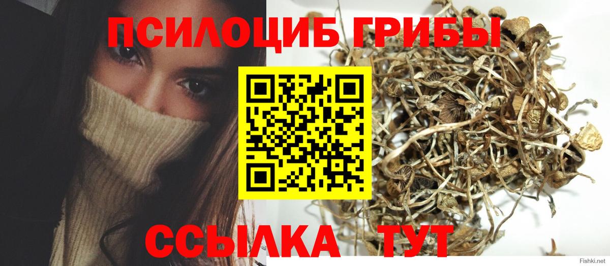 Галлюциногенные грибы GOLDEN TEACHER Киселёвск